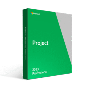 Microsoft Project Professional 2013